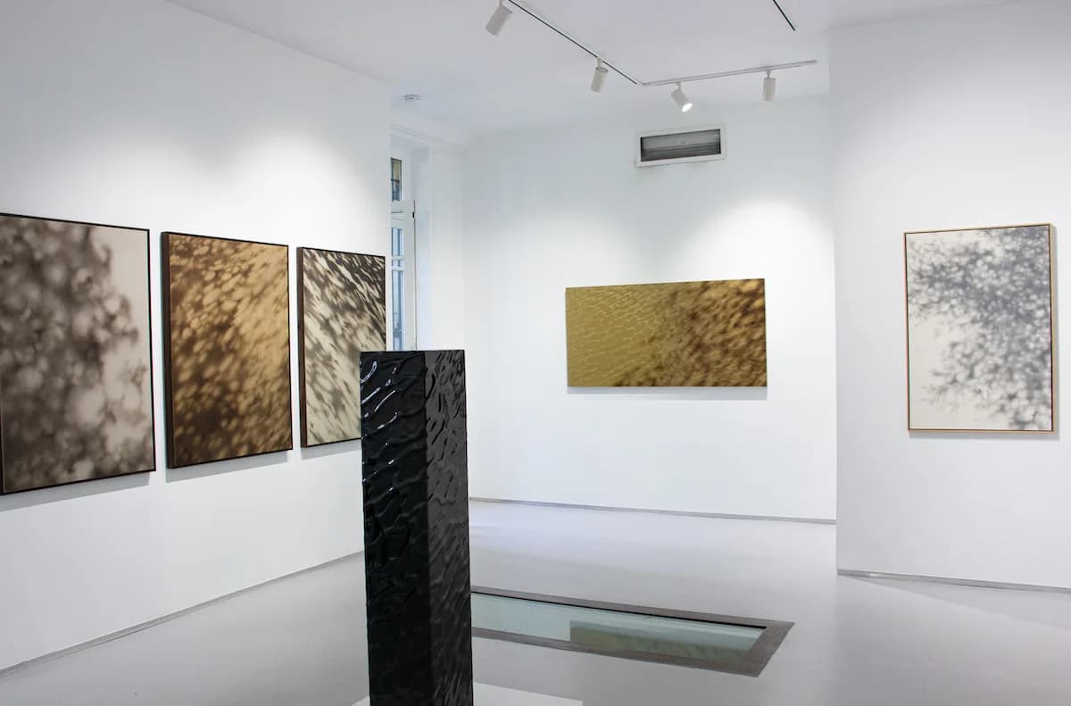 Bright installation view of Guillaume Grando paintings arranged in a quiet white gallery.